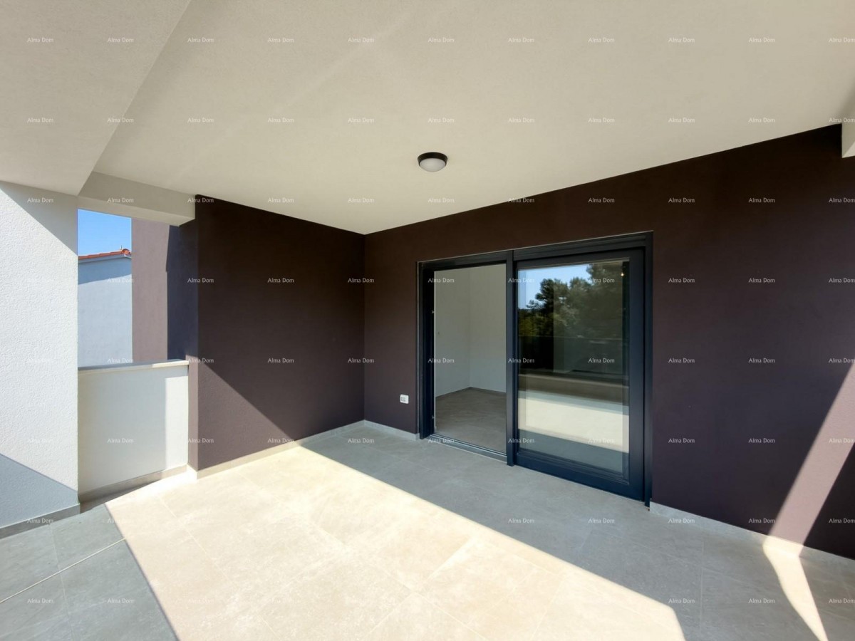 The translation of the title 12