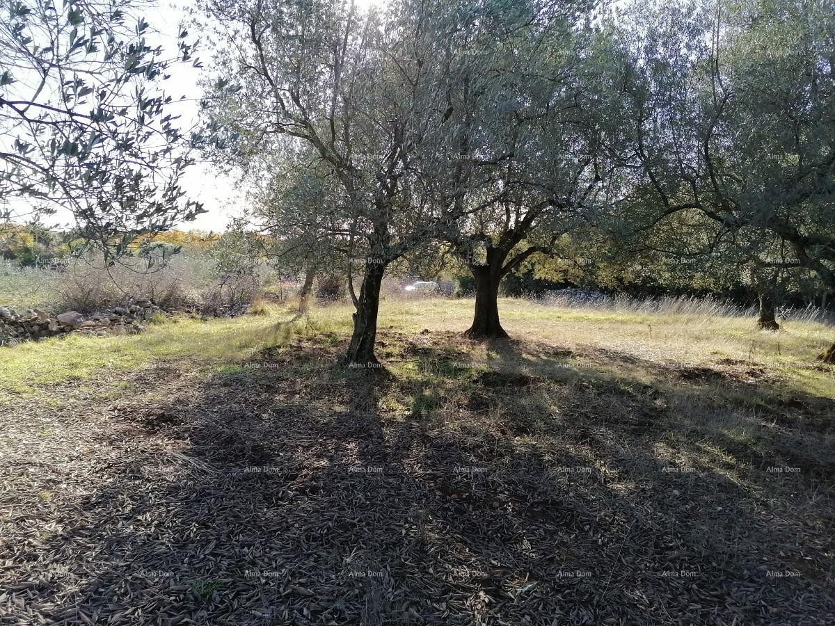 ГАЛИЖАНА - Земельный участок в промышленной зоне 4