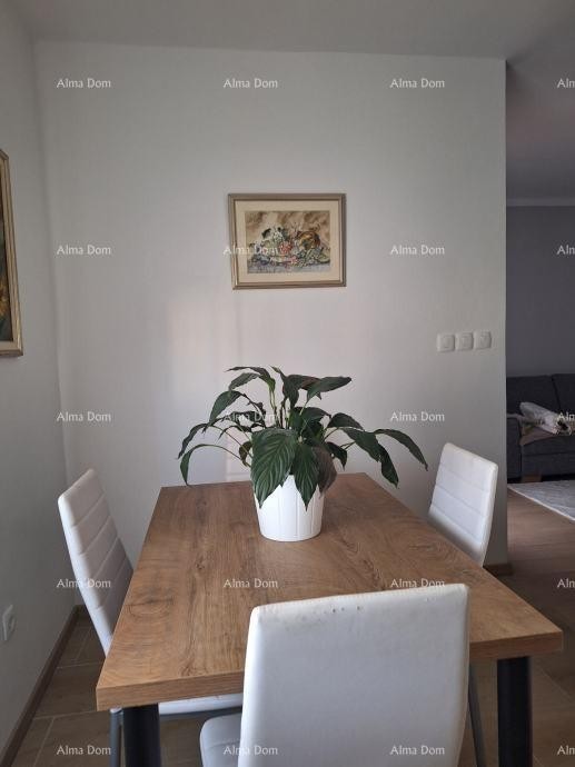 UMAG – appartamento in centro, 300 m dal mare 3