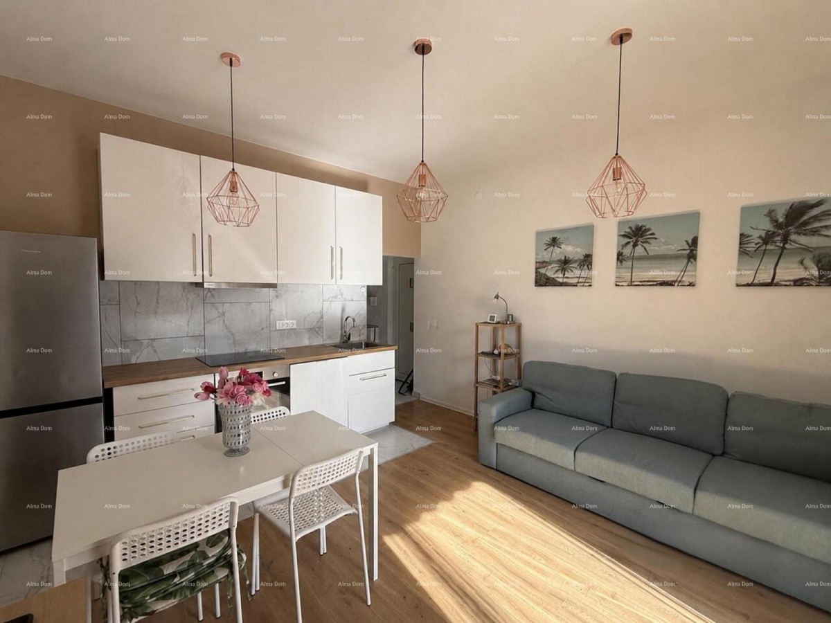 Stan con terrazzo – 100 m dal mare, Novigrad 1