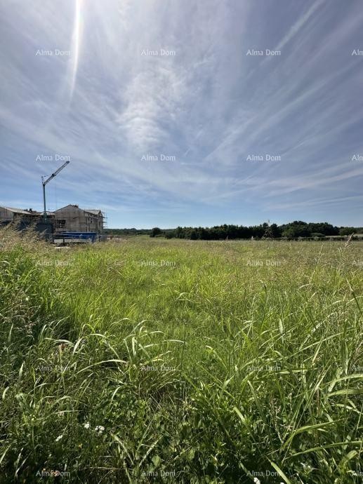 Building land for sale, 5832m2, Barban 3