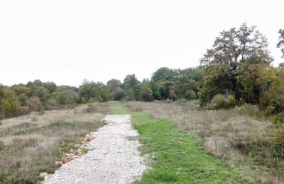 Terreni Edificabili in Vendita.