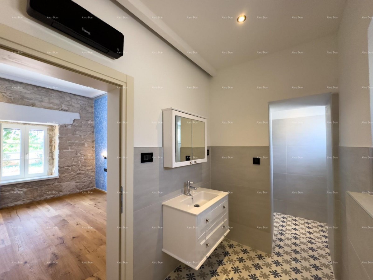 Редкость на рынке!   Istra  Barban 15