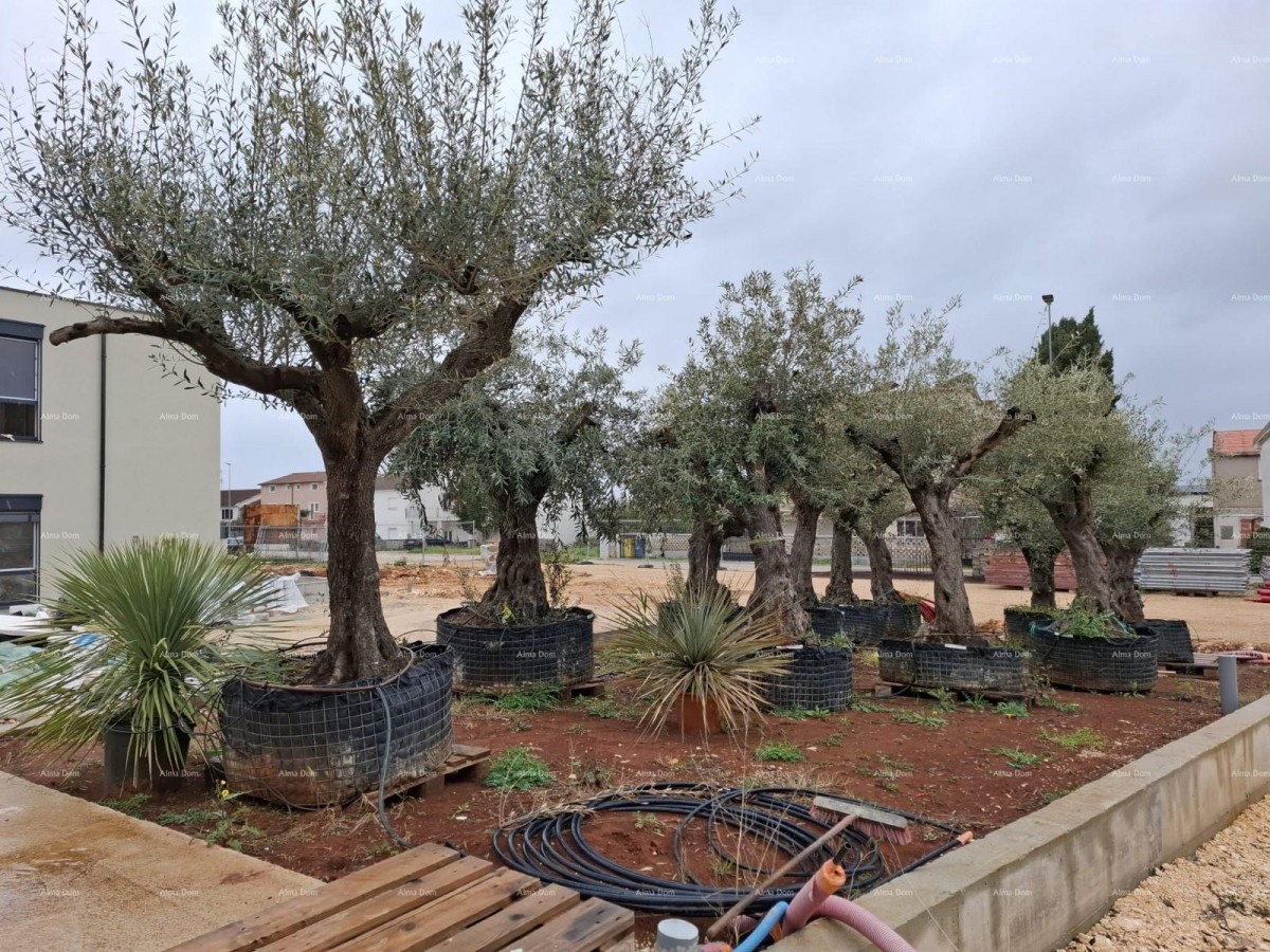 Продажа квартир в новом бизнес-жилом проекте, Пореч, C302 корпус C 26