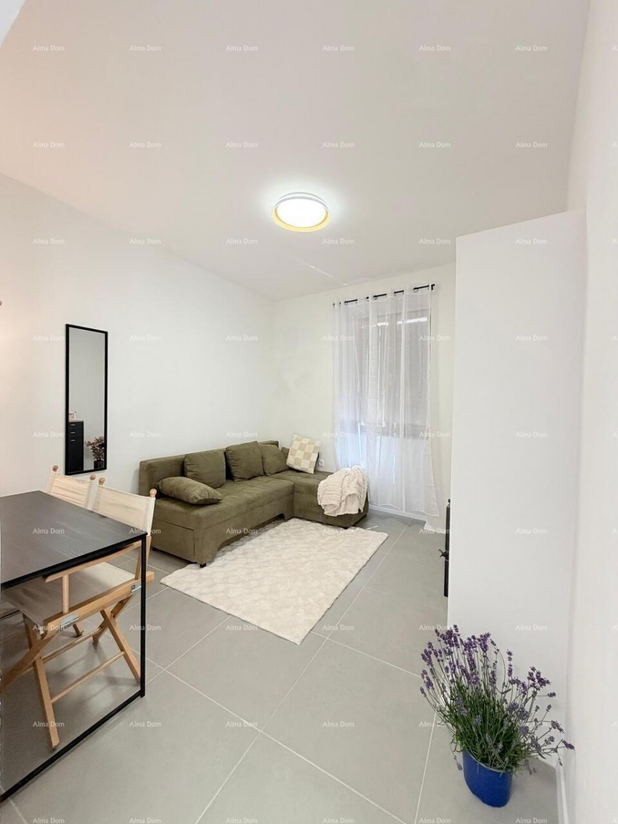Renovated Stone House, Vodnjan 1