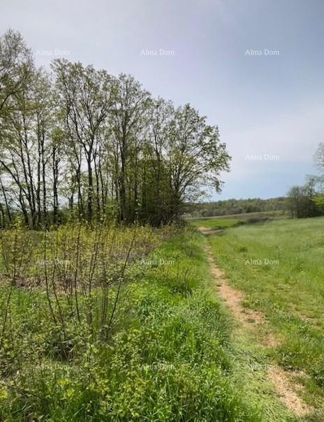 Продается строительный участок с проектом – Барбан (1.010 м²) 4