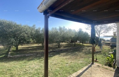 Attractive building land 500 m² – just 100 meters from the sea