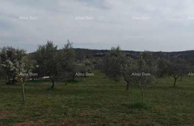 Terreno attraente, 5.716 m²,  nei dintorni di Poreč