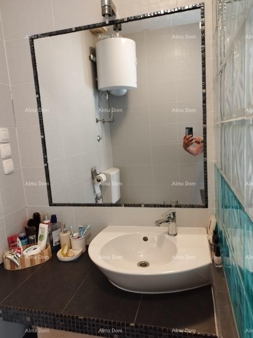 Apartment Brtonigla 6