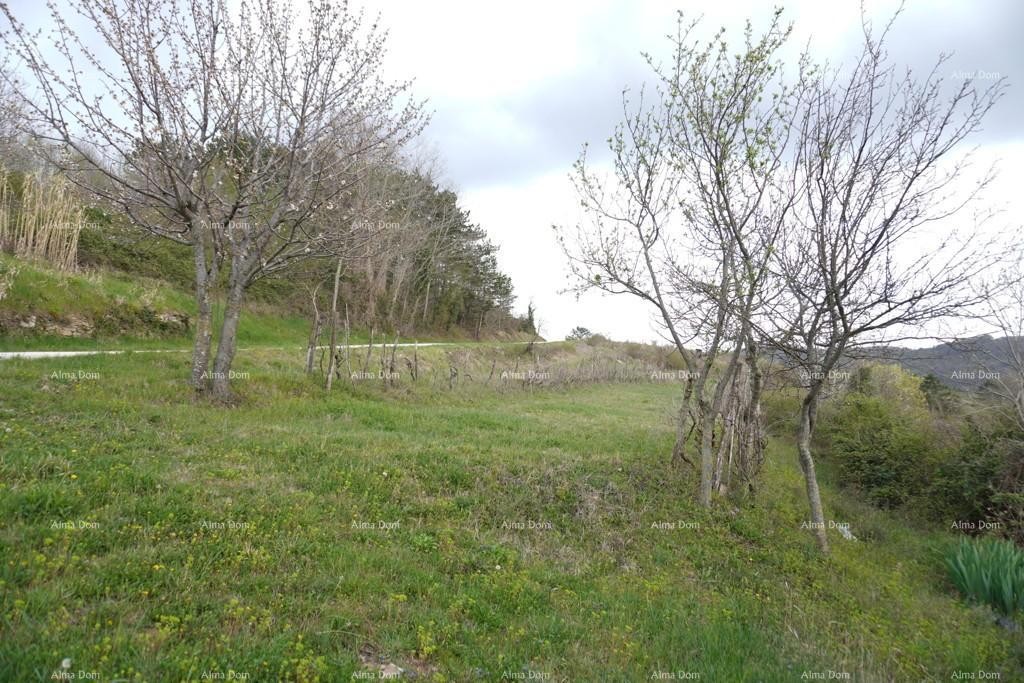 Plot Pazin 2