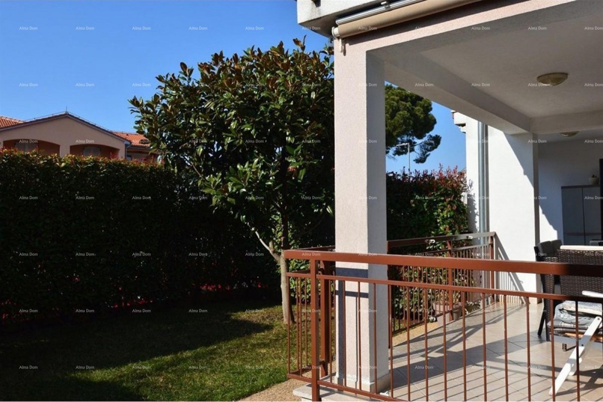 Prostrano stan s dvorištem, Tar 14