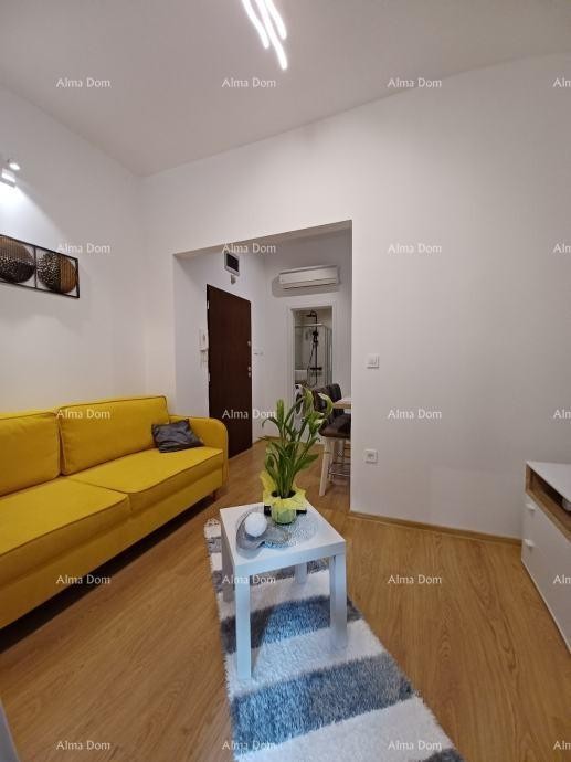 Pula, 2-sobni apartma v centru, 31 m² + terasa in vrt 3