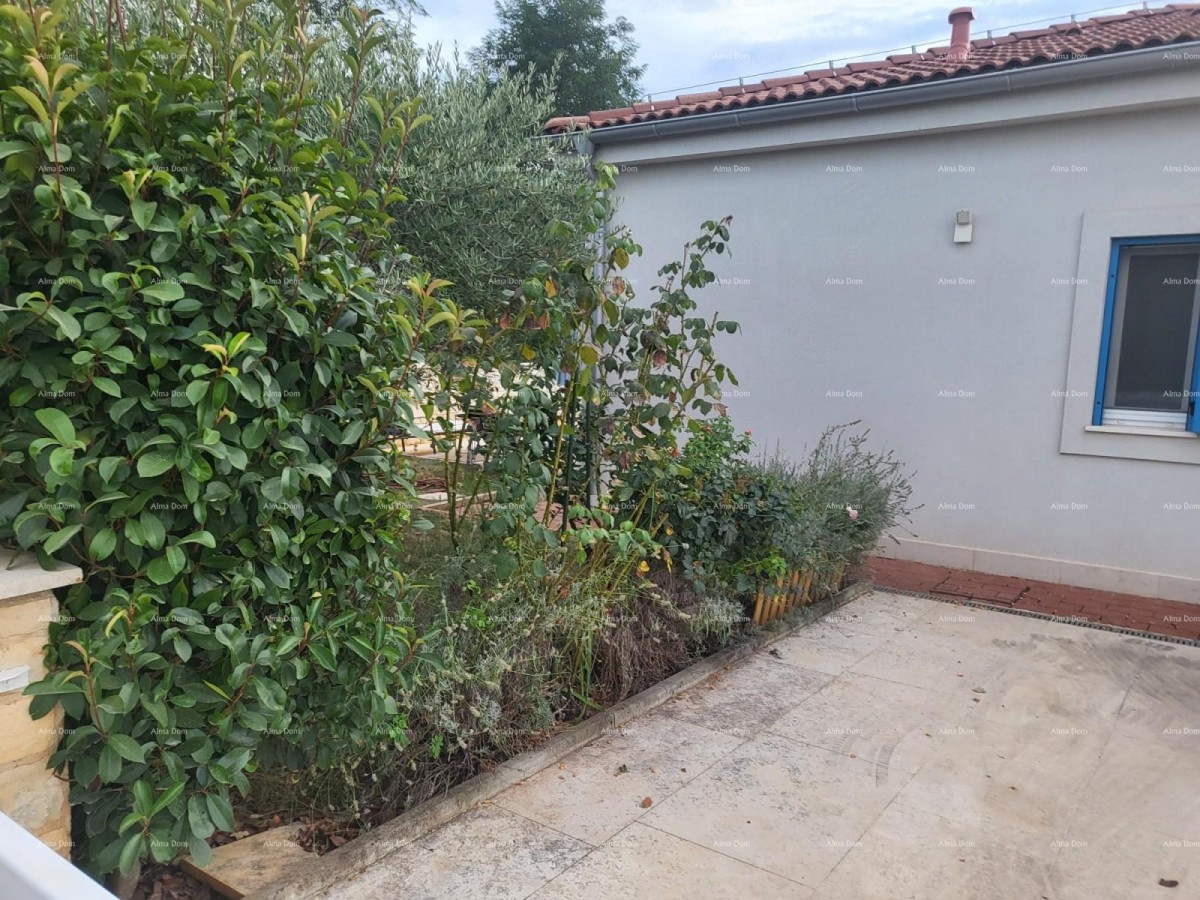 Novigrad, one-story house with swimming pool 6