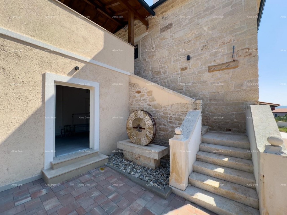 Редкость на рынке!   Istra  Barban 41