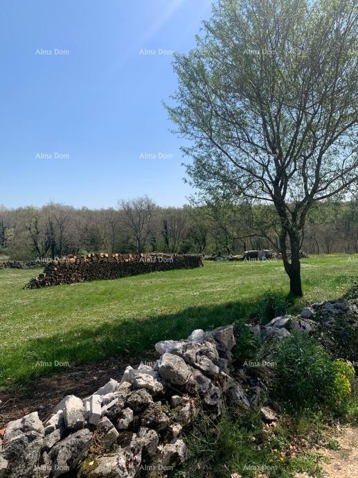 Building land of 785 m2 near Višnjan – project for a villa with a pool 2