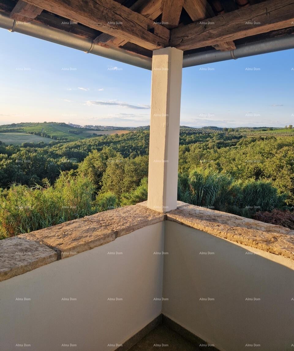 BUJE – Hiša s bazenom in panoramskim pogledom 11
