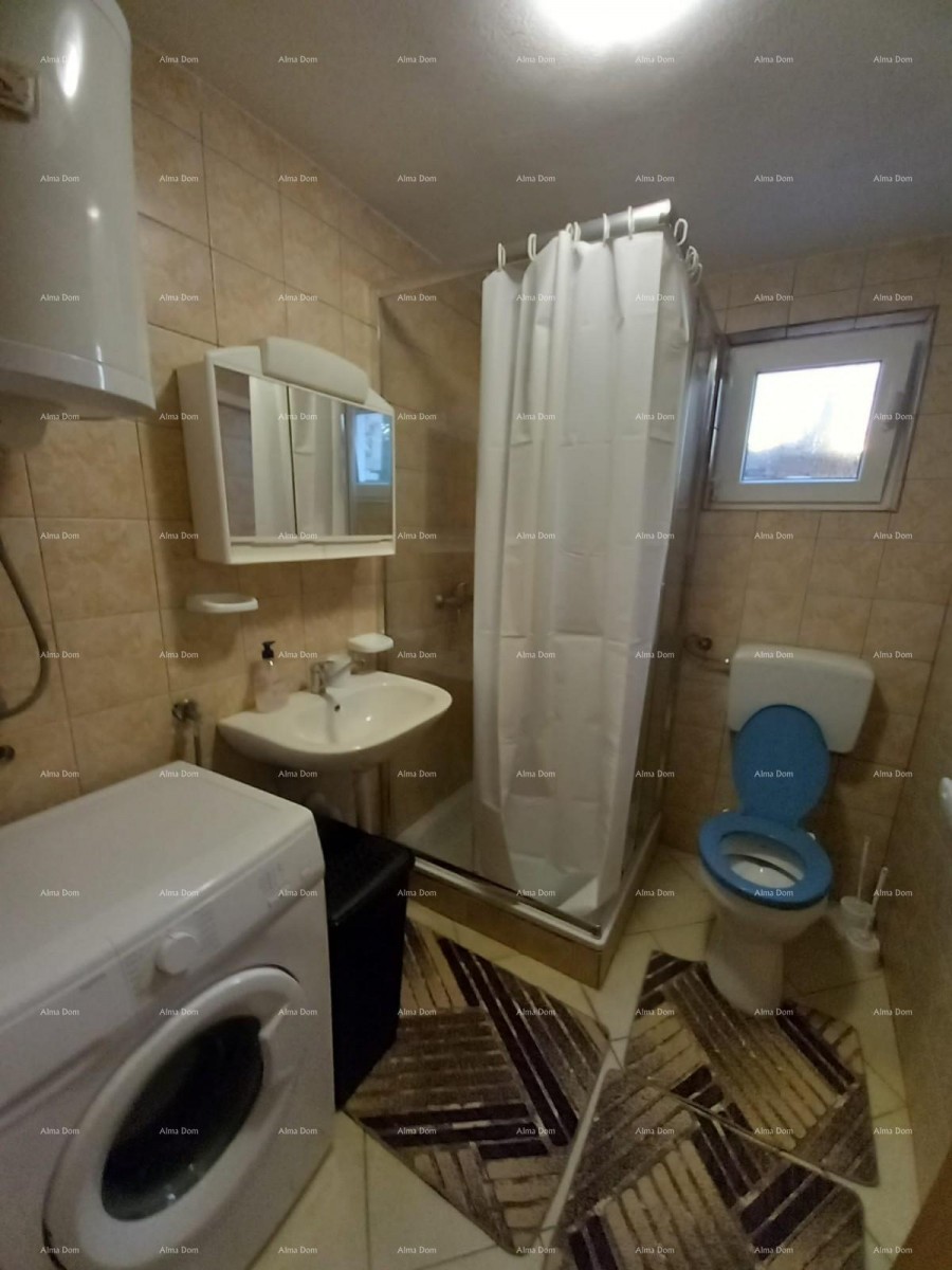 Sale of a house with two separate living units, Šišan! 12