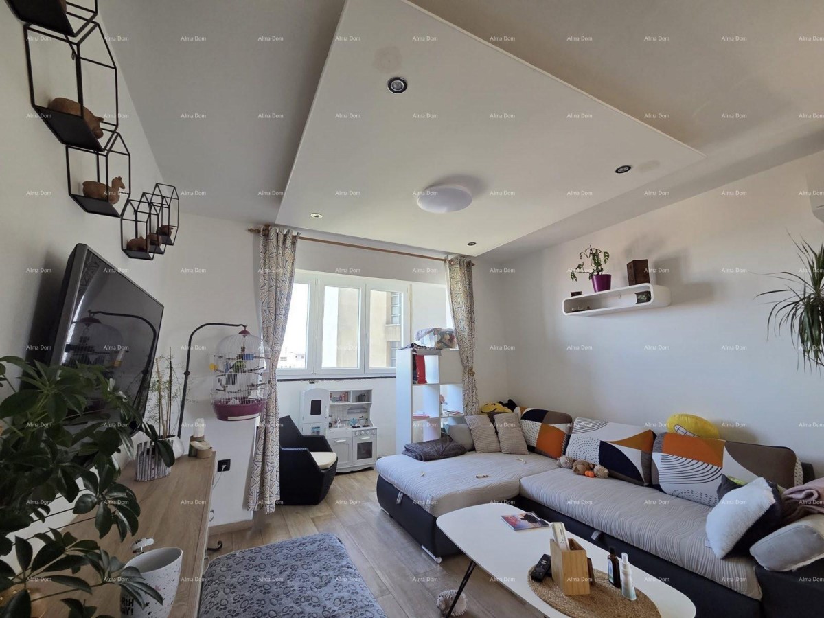 PULA, VIDIKOVAC, RENOVATED APARTMENT 52 m² 3