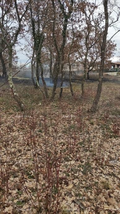 Terreno edificabile, 2