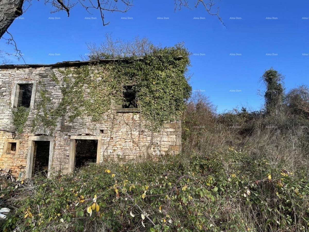 Prodaja - kamena istrska kuća za renovaciju s velikim zemljištem, Oprtalj! 2
