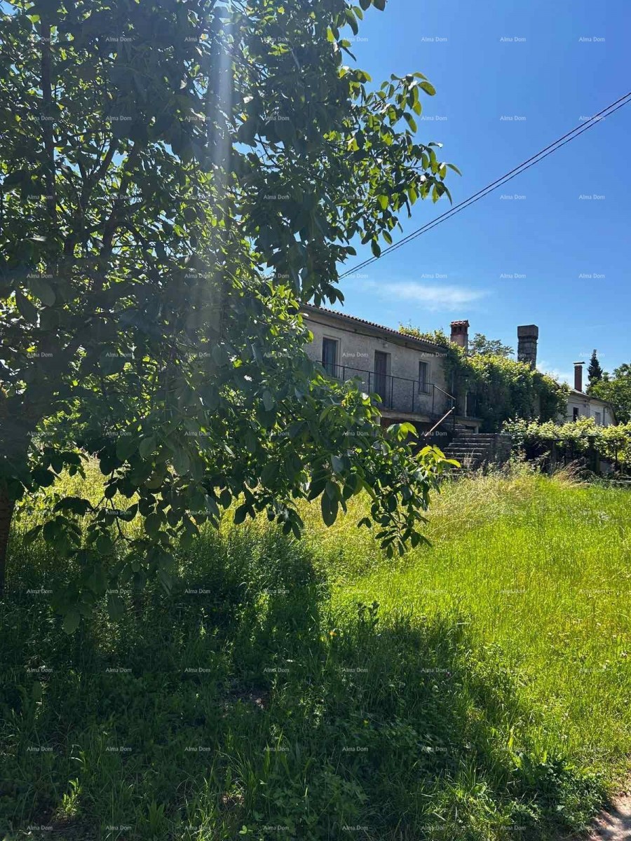 Prodaja hiše s skednjem in zemljiščem v bližini Barbana! 7