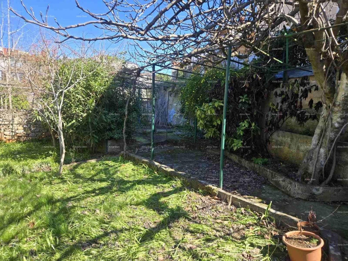 Каштание – дом с двумя отдельными квартирами, гаражом и садом площадью 250 м2 - продажа! 7