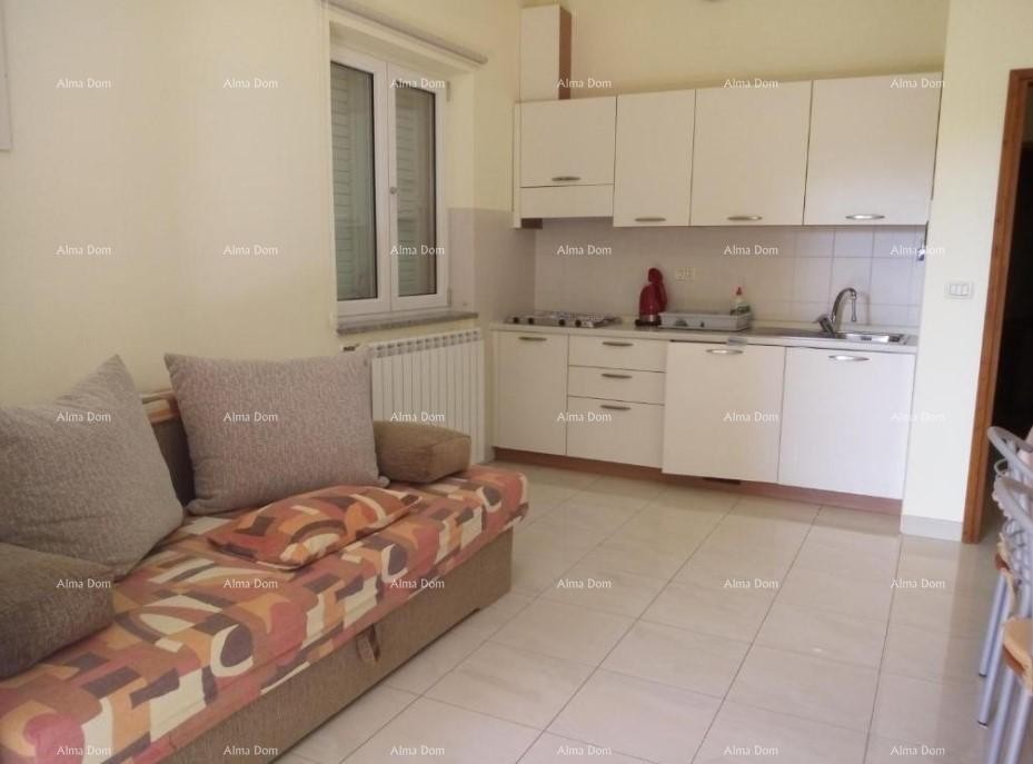 House with 5 apartments for sale with sea view, Premantura 23