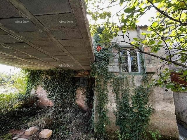 Prodaja stare istarske kuće sa velikom građevinskom parcelom od 1917 M2!!!  Valbandon 4