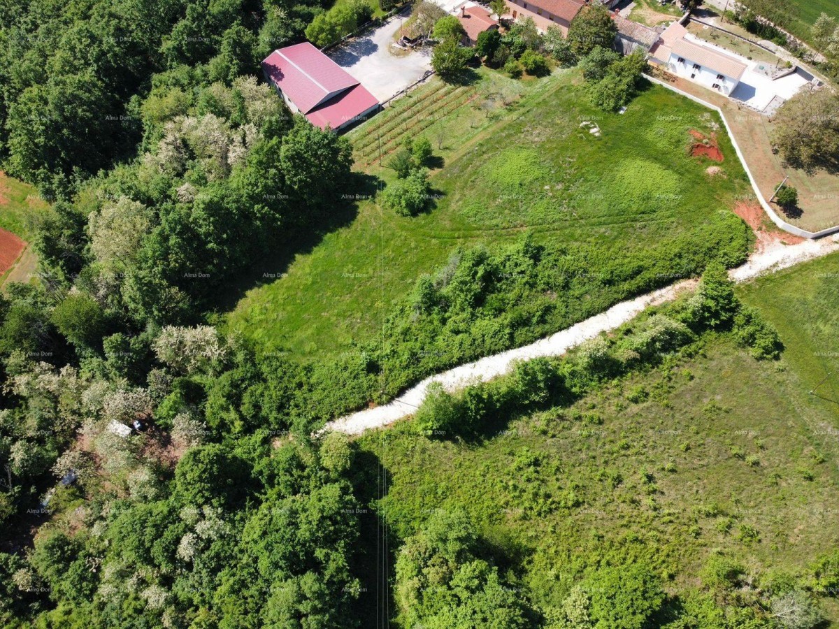 BARBAN - Land for development with a project (house with a swimming pool), 15 minutes to the sea 9