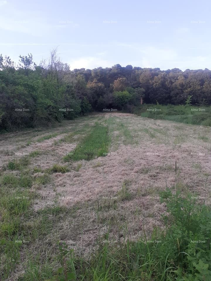 Land for sale in Banjole 1
