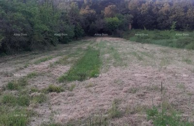 In italiano, il titolo si traduce come: 