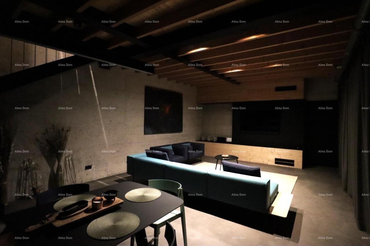 Luxury villa with a view of Motovun! 13